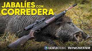 CAZA DE GRANDES JABALÍES CON RIFLE DE CORREDERA 🐗  Test del Winchester SXR2 Pump [upl. by Kielty]