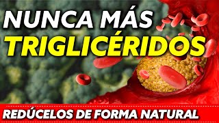 6 Plantas que bajan los Triglicéridos sin pastillas de forma natural [upl. by Filberto735]