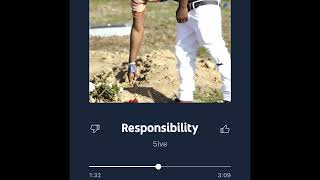 5ive  Responsibility Slowed [upl. by Akinas632]