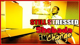 Shebada is Still the Manager  Shebada In Charge Episode 3 Live ReactionPreview [upl. by Ainattirb]