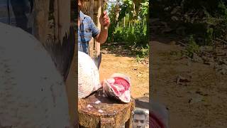 Top 3 World Master Fast Fish Cutting 50kg Catla Head Fish Cutting Skills Never Seen shorts [upl. by Annadiana]