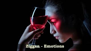 Ziggan Emotions [upl. by Koralle]