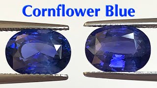 Exclusive Cornflower Blue Sapphire Unheated Pair  8 Carats total  Vivid Blue Sapphire [upl. by Imak]