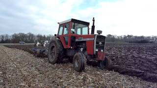 MF 1105 plowing [upl. by Agle]