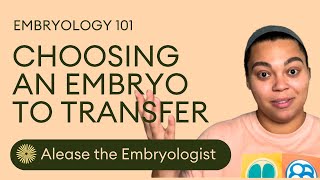 How To Choose Which Embryo To Transfer  Embryologist Explains Embryo Selection In The IVF Lab [upl. by Sikras556]