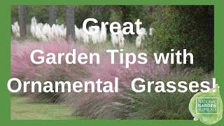 Ornamental Grasses in Containers and Your Garden Can Be Grown from Seed [upl. by Aklog]