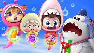 Its Not Food  Safety Rules  Baby Shark  Nursery Rhymes amp Kids Songs  BabyBus [upl. by Noillimaxam426]