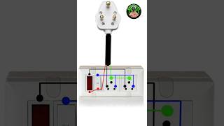 Double Socket indicator wiring electricalelectricalinstallationwiringtecnicwiring bhojpuri song [upl. by Adlay569]