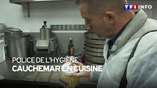 TF1 vous embarque dans des contrôles surprises dhygiène de restaurants en SeineSaintDenis [upl. by Eelyahs]