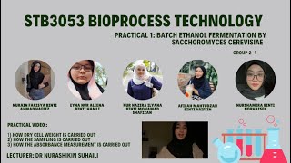 STB3053 Bioprocess Technology Practical 1 Batch ethanol fermentation by Saccharomyces Cerevisiae [upl. by Kcirrej]