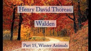 Henry David Thoreau Walden  Winter Animals Audiobook [upl. by Letnom852]