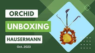 Hausermann Orchid Haul unboxingOct2023 [upl. by Oiromed]