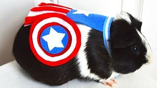 SUPERHERO RODENTS  Game LÜT 17 [upl. by Gracie]