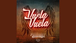 Vuela Vuela [upl. by Raquela]