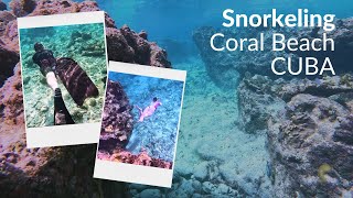 SNORKELING TRIP  CORAL BEACH  CUBA [upl. by Cortie]