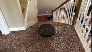 Ecovacs Deetbot N79S Stair Test [upl. by Kecaj813]