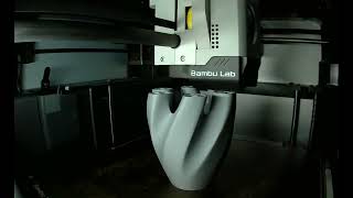 Ring holder 3D Print Time Lapse [upl. by Nerfe330]