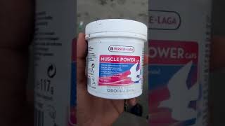 VERSELELAGA PRODUCT MUSCLE POWER FOR PIGEONS FEATHER pigeon kabootar verselelaga youtubevideo [upl. by Philippine]