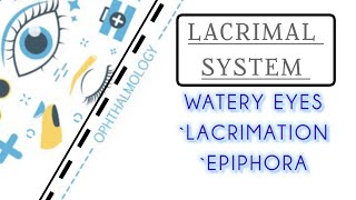 LACRIMAL SYSTEM LECTURE 5 WATERY EYES LACRIMATION amp EPIPHORA [upl. by Seth]