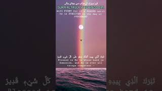 ALMULKالمُلکsaves from Hell fire TORMENT islamicstatusquranyoutube ytislamicshorts surah [upl. by Adai]