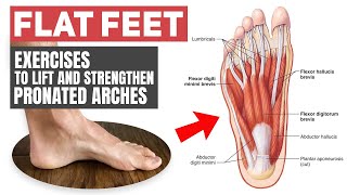 Flat Feet  Rehab Exercises for Pronated Arches [upl. by Romina723]