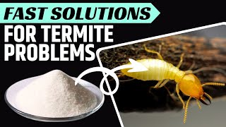 How to Kill Termites the Natural Way [upl. by Yalhsa]