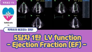 Ejection Fraction EF LV systolic function  심장기능 echocardiography 심장초음파 심박출률  stroke volume [upl. by Atokad]