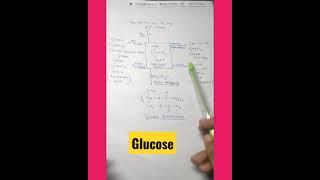 Glucose Imp Reactions 🔥  NCERT  BIOMOLECULES  Jee Mains And Neet  shorts [upl. by Shirah939]