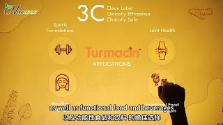 Turmacin® Turmeric Extract is derived from nature extracted with organic natural solvents [upl. by Ad]