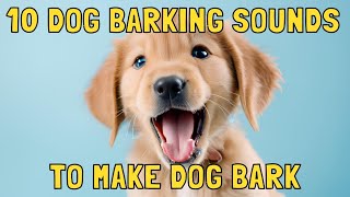 Dog Barking Sounds to Make Your Dog Bark [upl. by Eelarual]