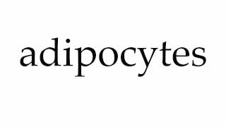 How to Pronounce adipocytes [upl. by Aro138]