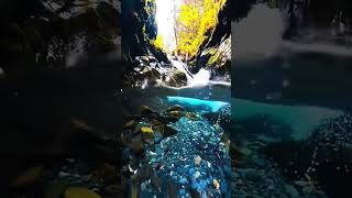 Relaxing music for every day night nature naturalmusic waterfall hiking music travel pnw [upl. by Merri]