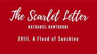 Scarlet Letter  Chapter 18 Audiobook [upl. by Caves]