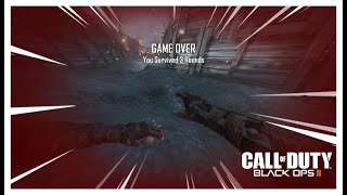 How Not To Play Bo2 Zombies [upl. by Llekim315]