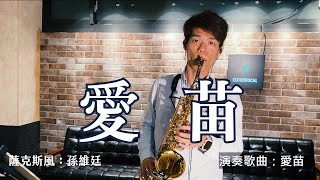 愛苗  鳳飛飛 Saxophone Cover 孫維廷 Live Version [upl. by Jonette]