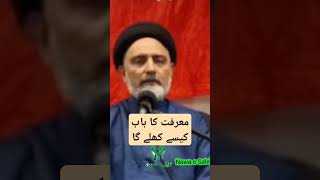 Allama Nusrat Abbas BukhariAhle bail AS ki nazar main aqalmand kon hymujlis [upl. by Gusta]