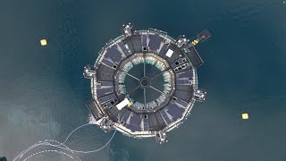 Bluegreen The Marine Donut Reshaping Sustainable Aquaculture [upl. by Rothschild]