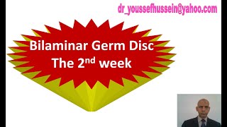 8 The 2nd week  Bilaminar germ disc [upl. by Linus475]