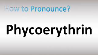 How to Pronounce Phycoerythrin [upl. by Towney551]