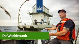 Op pad met de Waddenunit [upl. by Donielle]