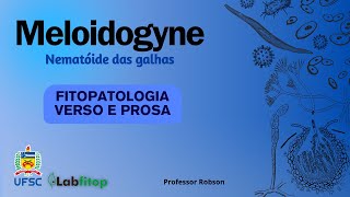 Meloidogyne  nematóide das galhas [upl. by Aicatsue850]