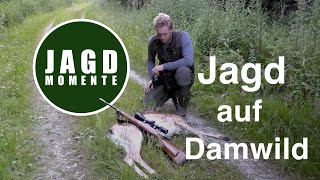 JagdMomente  Folge 3  Jagd auf Damwild und Reh im Frühsommer [upl. by Leah]