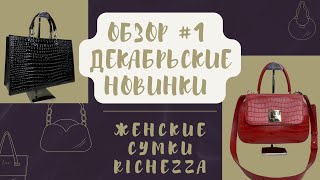 Трендовые сумки на зиму  Декабрь №1 [upl. by Aihtak]