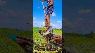 Unbelievable Boat Fishing Flood Water 🐟🐳🐬boatfishing tetafishing shorts traditionalfishing [upl. by Grover]