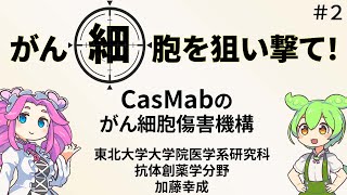 第２回 抗体創薬学分野 研究成果紹介：HER2 CasMabのがん細胞傷害機構 [upl. by Aivital664]