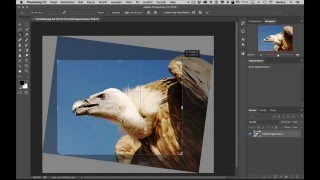 Photoshop CC WS05 Zuschneiden [upl. by Olocin238]