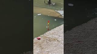 Amazing fish catching with fishing rod [upl. by Christmas]