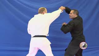 Kempo Karate  Combination 4 [upl. by Malliw]