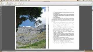 Generar archivo pdf para imprenta desde Indesign Manuel Tamayo Haya Imprenta Cantabria [upl. by Norward721]