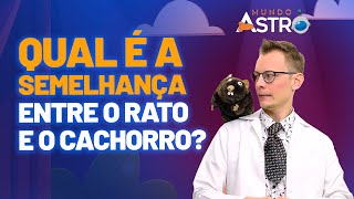 Características dos animais vivíparos e ovíparos  Aula para o 3º ano do ensino fundamental [upl. by Hull]